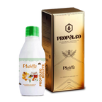 Propóleo Bioliffe - Miel de abejas y macerado de propóleo pasteurizado